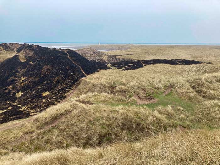 April-Fire-in-the-Dunes